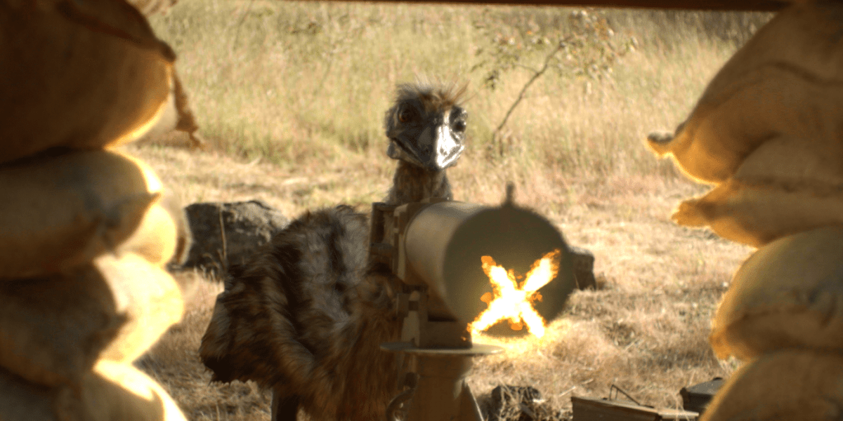 An emu fires a gun in The Emu War. Image: Umbrella Entertainment