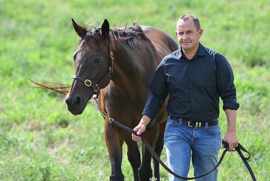 A Horse Named Winx: first look at new Australian doco | ScreenHub Australia – Film & Television Jobs, News, Reviews & Screen Industry Data