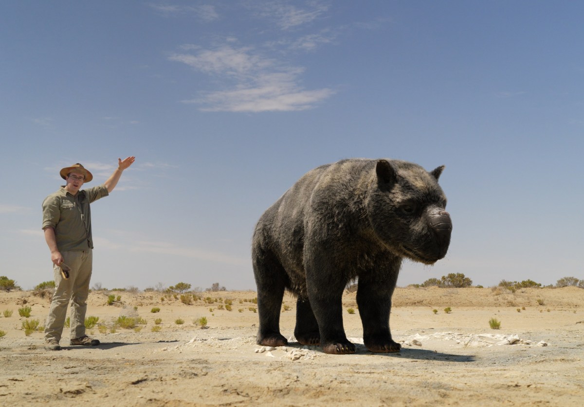 Megafauna: what killed Australia's giants ABC