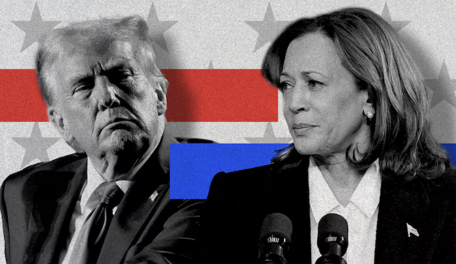 Trump Vs Harris. Abc Iview. New Shows Streaming. 