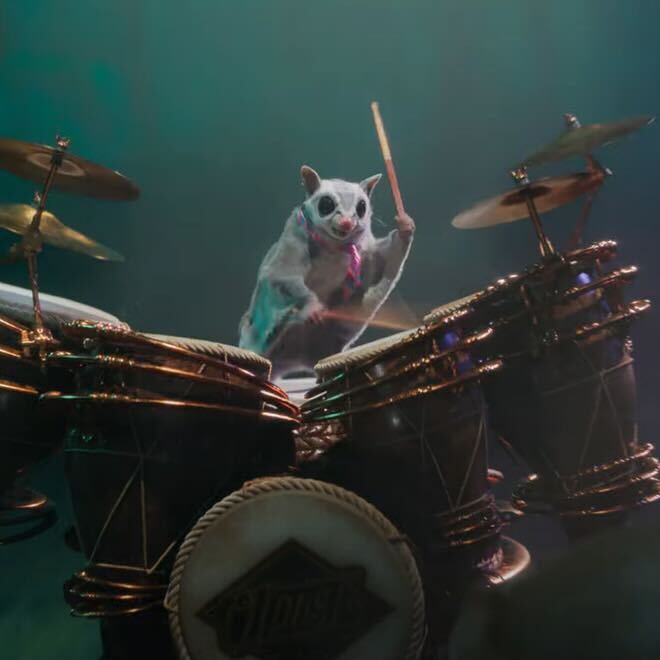 A sugar glider beats out a drum solo at the Oz Dust Ball. Image: Universal Pictures