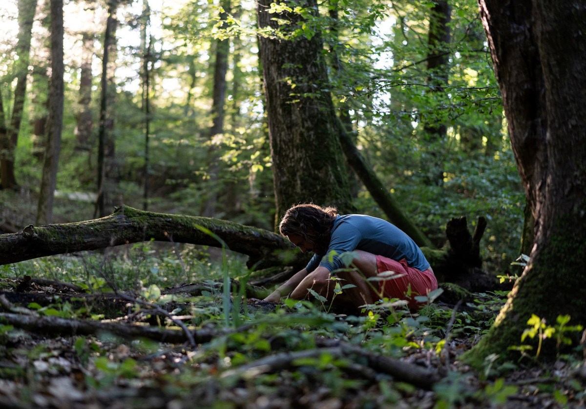 The Forest. Image: Abc Iviewstreaming December 2024.