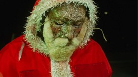 Carnage for Christmas. Image: Prime Video/Shudder