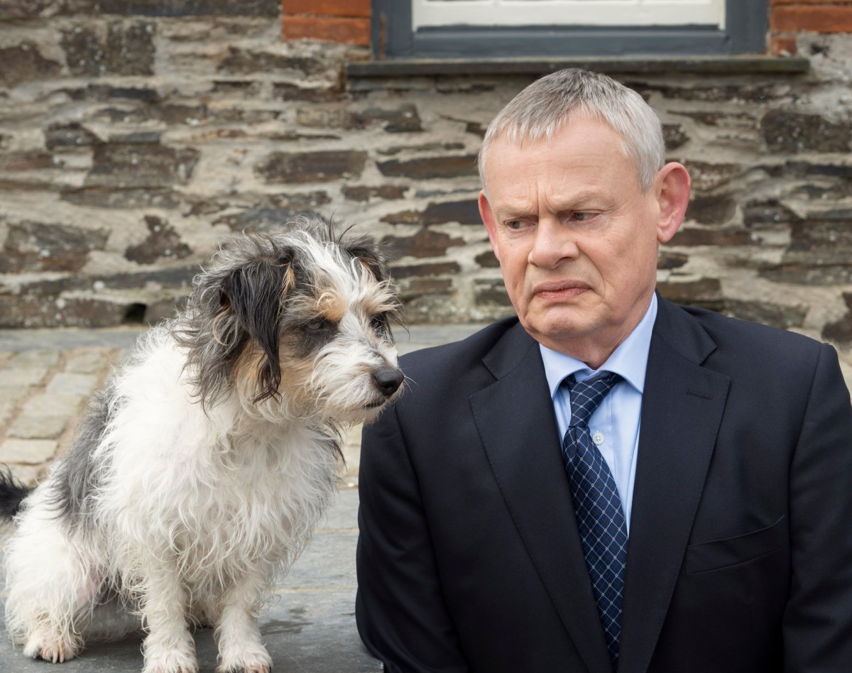 Doc Martin Season 10. Image: Britbox. 